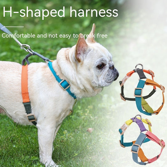 Fresh Six-color H-shaped PET's Chest-back